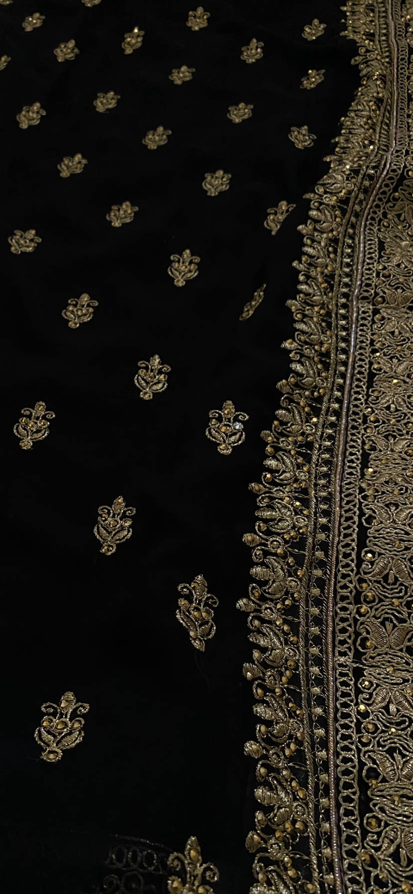 Saree Liya