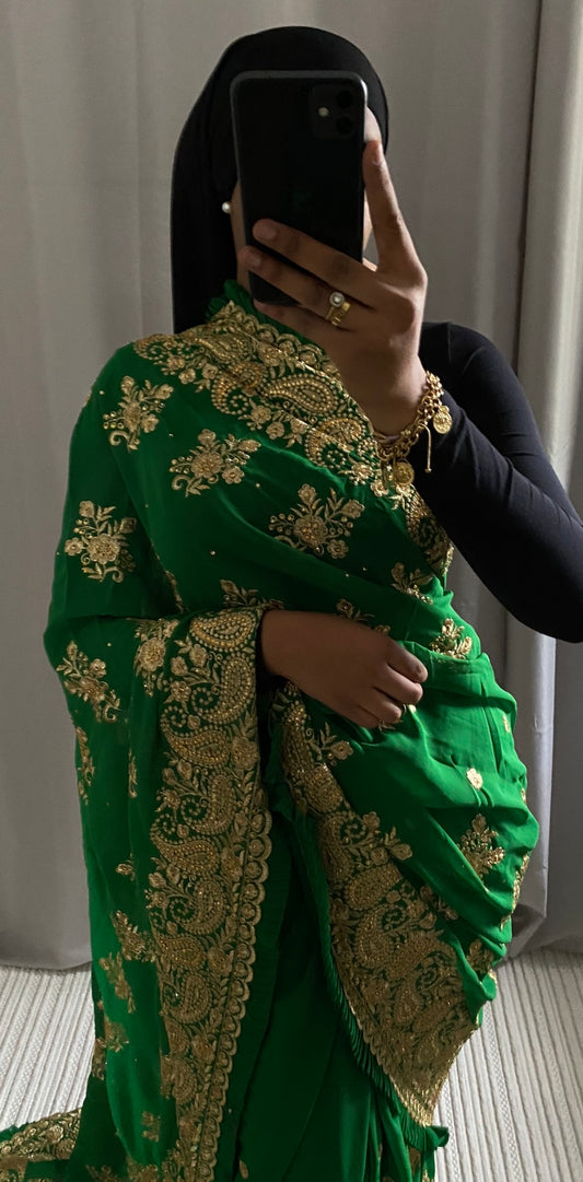 Saree Kajal vert