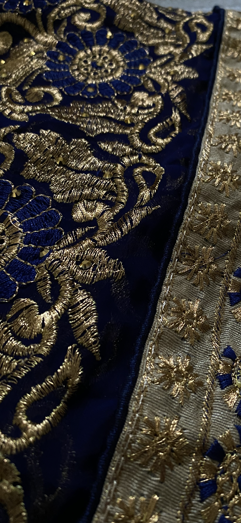 Saree Jana (2)